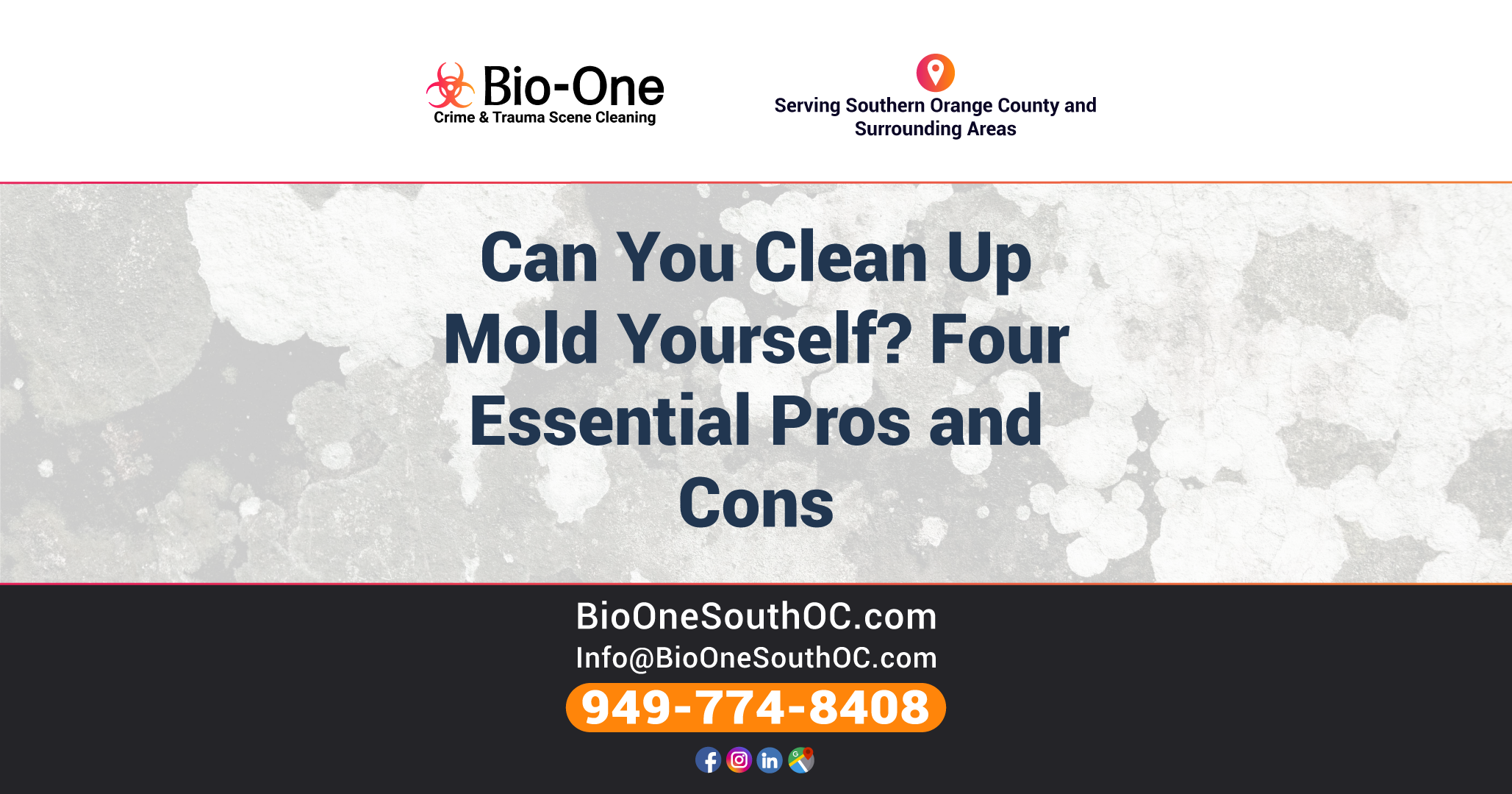 Can You Clean Up Mold Yourself? Four Essential Pros and Cons
